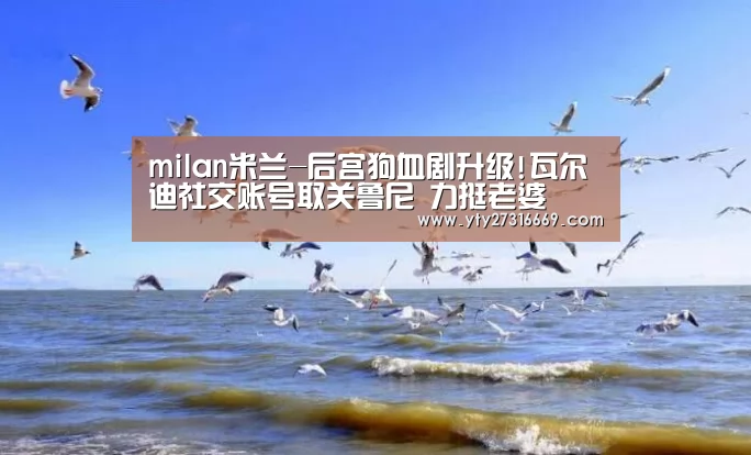 milan米兰-后宫狗血剧升级!瓦尔迪社交账号取关鲁尼 力挺老婆(图2) 米兰·(milan)中国官网