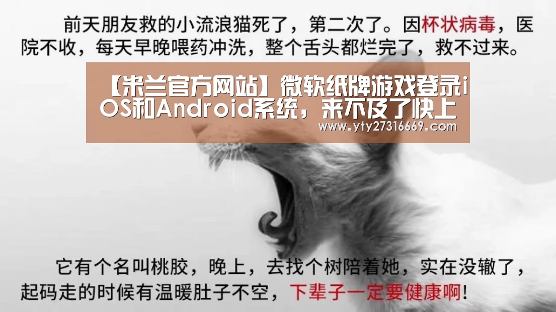 米兰官方网站