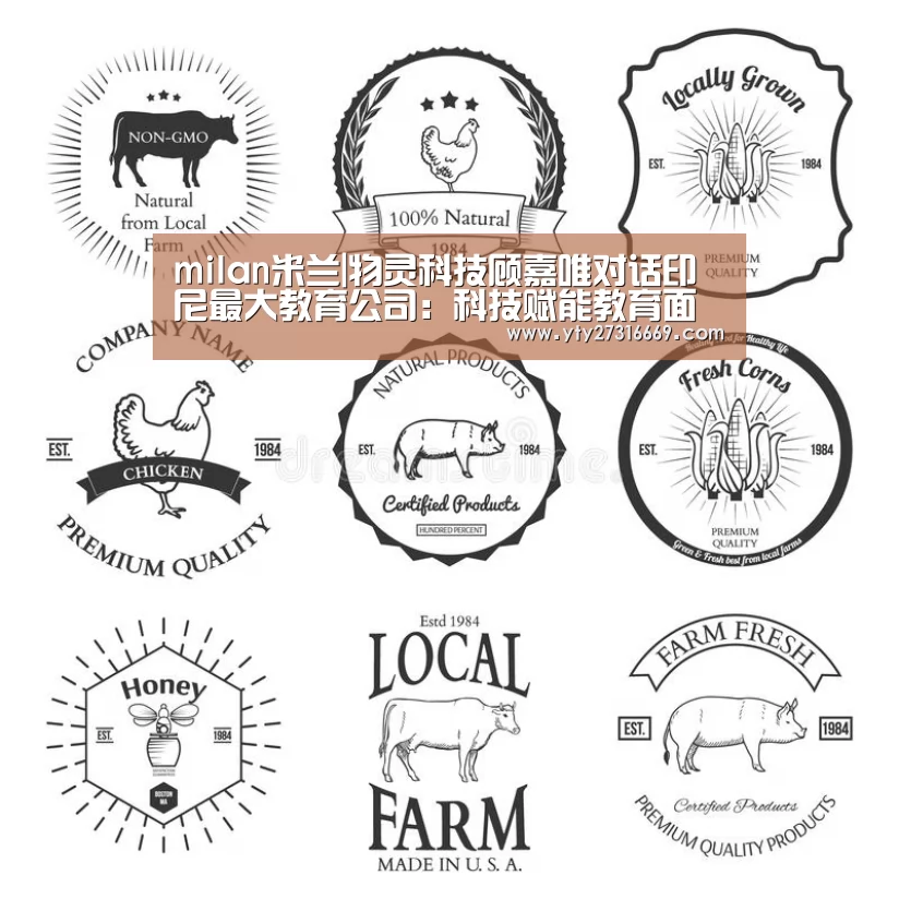 milan米兰|物灵科技顾嘉唯对话印尼最大教育公司:科技赋能教育面临哪些挑战?|全球AI+智适应教育峰会(图3) 米兰·(milan)中国官网