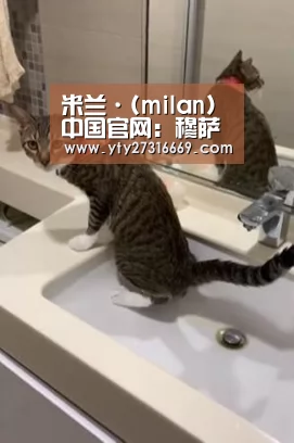 米兰·(milan)中国官网:穆萨-登贝莱:我能在北伦敦德比前恢复安康(图1) 米兰·(milan)中国官网