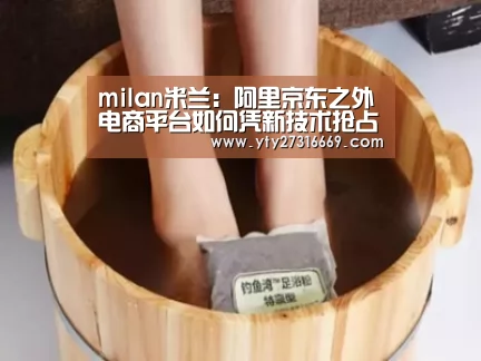 milan米兰:阿里京东之外电商平台如何凭新技术抢占双11份额(图2) milan米兰